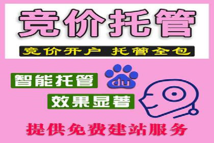 深入剖析SEM公司成功案例：数据驱动的广告策略